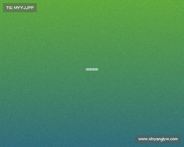 篮球赛事图表大全